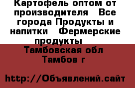 Картофель оптом от производителя - Все города Продукты и напитки » Фермерские продукты   . Тамбовская обл.,Тамбов г.